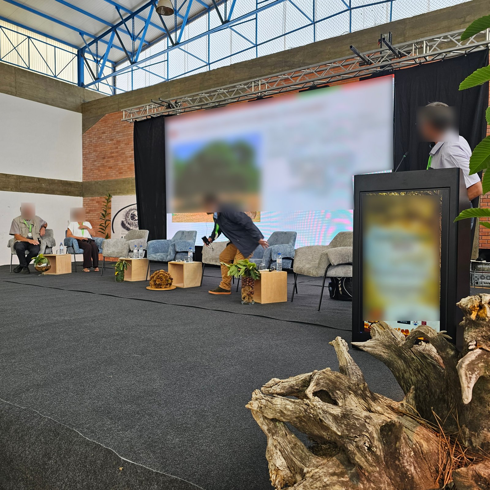 XVI Encontro Europeu da Castanha em Carrazedo de Montenegro — imagem 3