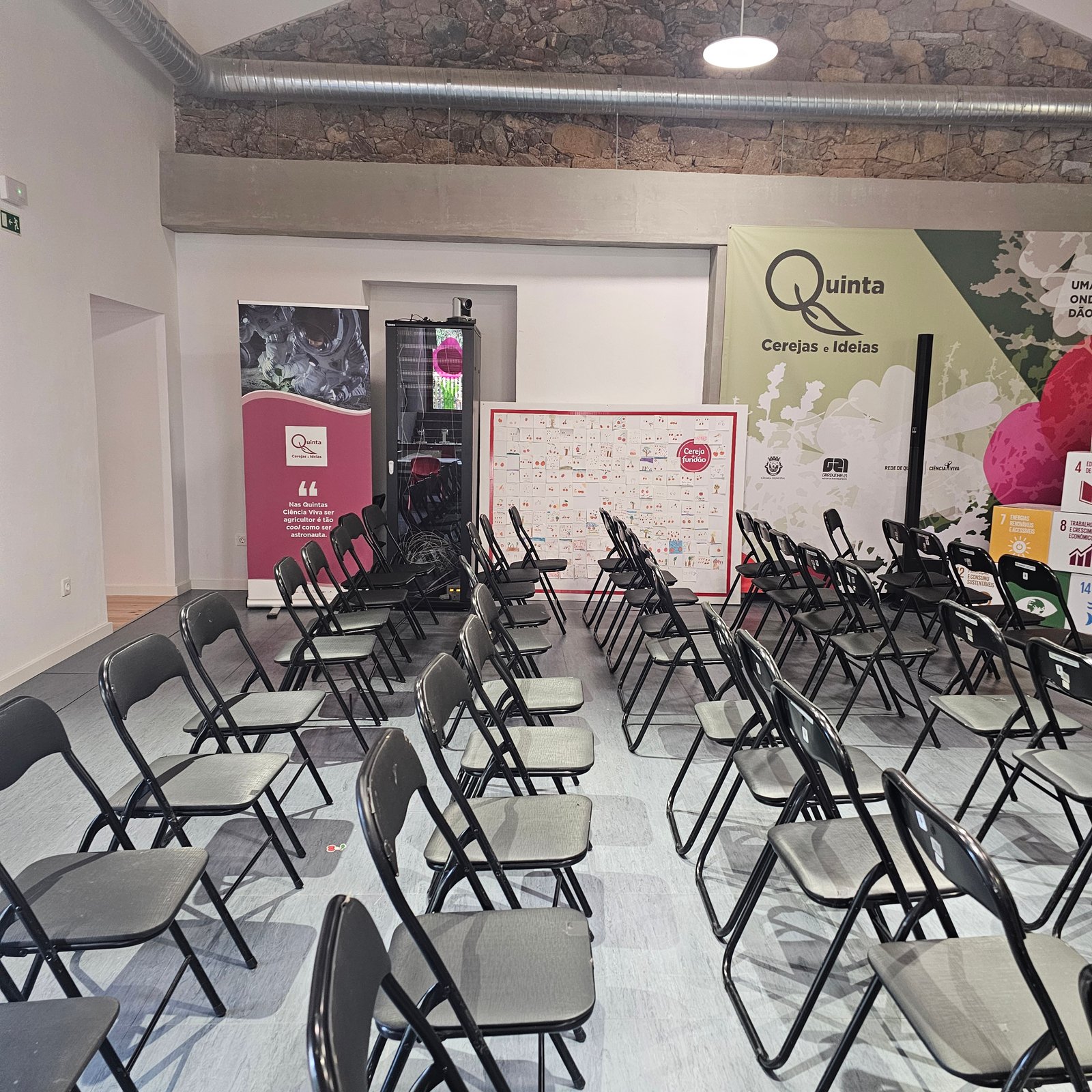 Festival 'Climate Action for All' — imagem 3