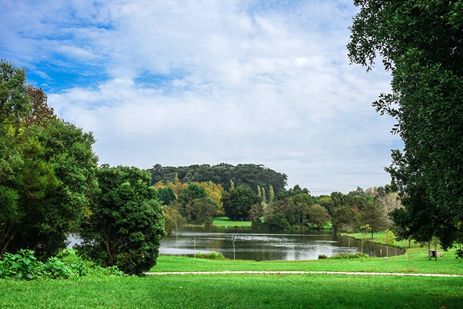 Visita do júri Green Flag Award ao Parque da Cidade do Porto — Interpretação consecutiva — Turnip Portugal