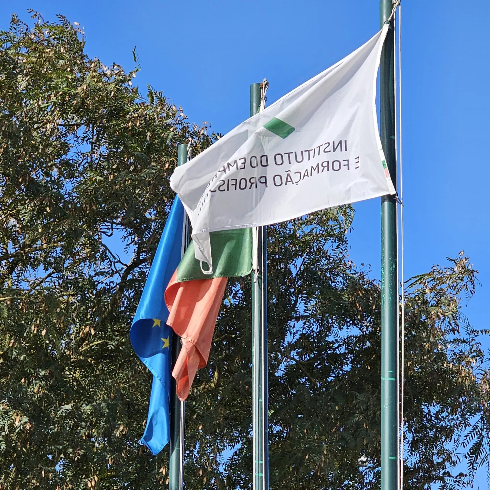 Acompanhamento do Comissário Europeu Nicolas Schmit — Interpretação consecutiva — Turnip Portugal