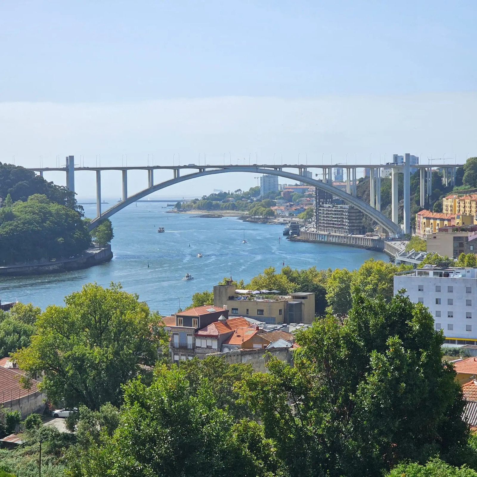 Conferência internacional sobre mobilidade e política externa — Interpretação simultânea — Turnip Portugal