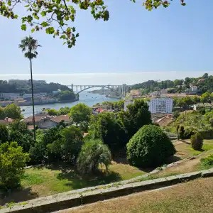 Conferência internacional sobre mobilidade e política externa — imagem 3