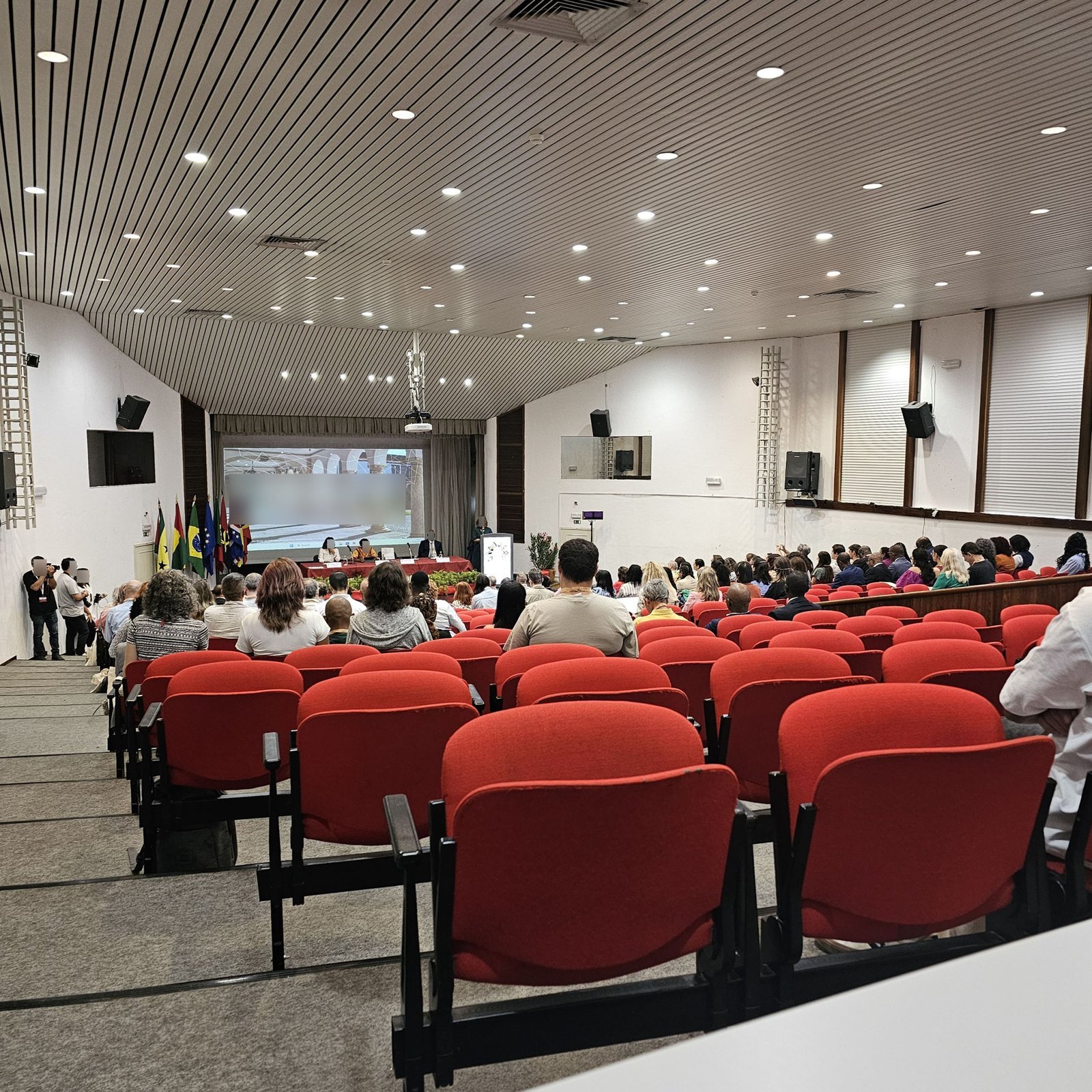 Reunião da Rede de Estudos Ambientais — Tradução simultânea remota — Turnip Portugal