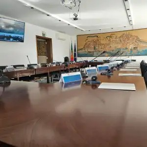 Reunião do Conselho Económico e Social — imagem 2