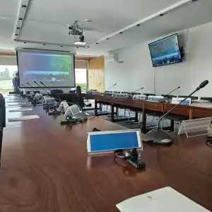 Reunião do Conselho Económico e Social — imagem 3