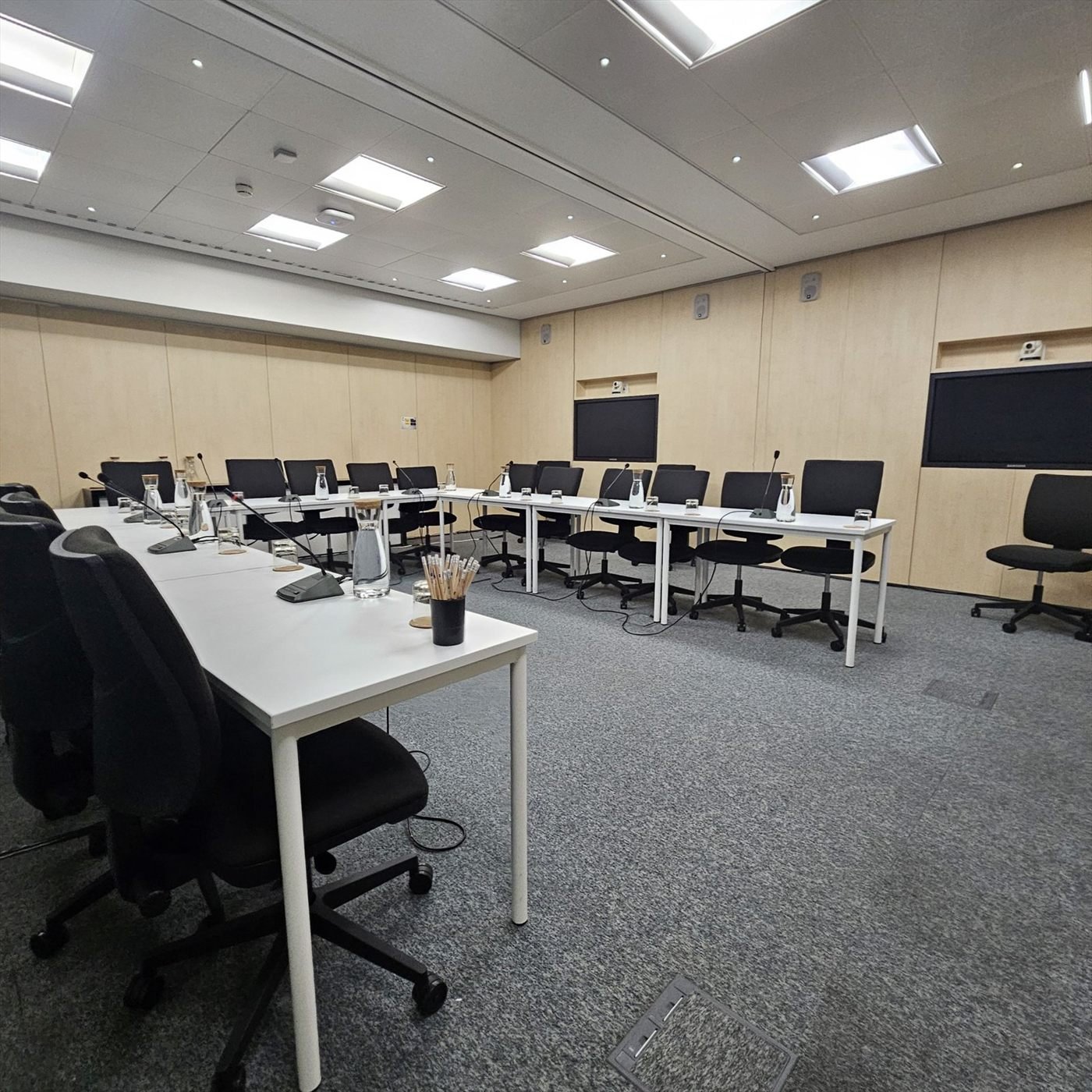 Setup AV completo em reunião institucional sobre migração, Turnip Portugal