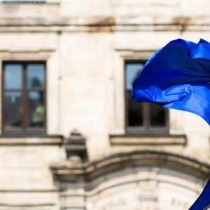 European workforce and public administration